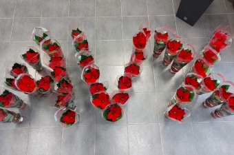 Charitativní sbírka Vánoční hvězda